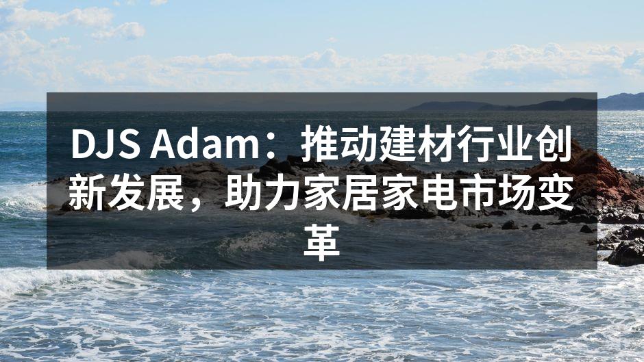 DJS Adam 创新发展论坛现场